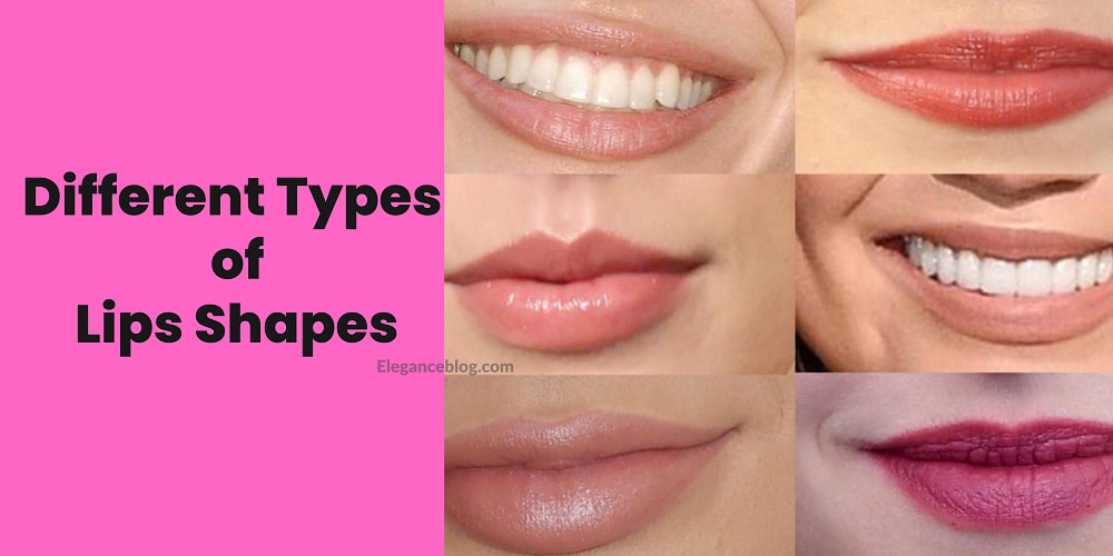9 Different Types Of Lip Shapes Chart Find Yours 4558