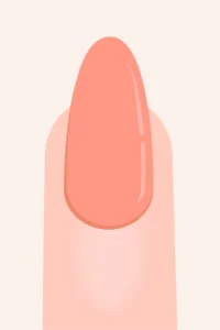Almond nail shape infographic showing tapered sides and rounded tip.