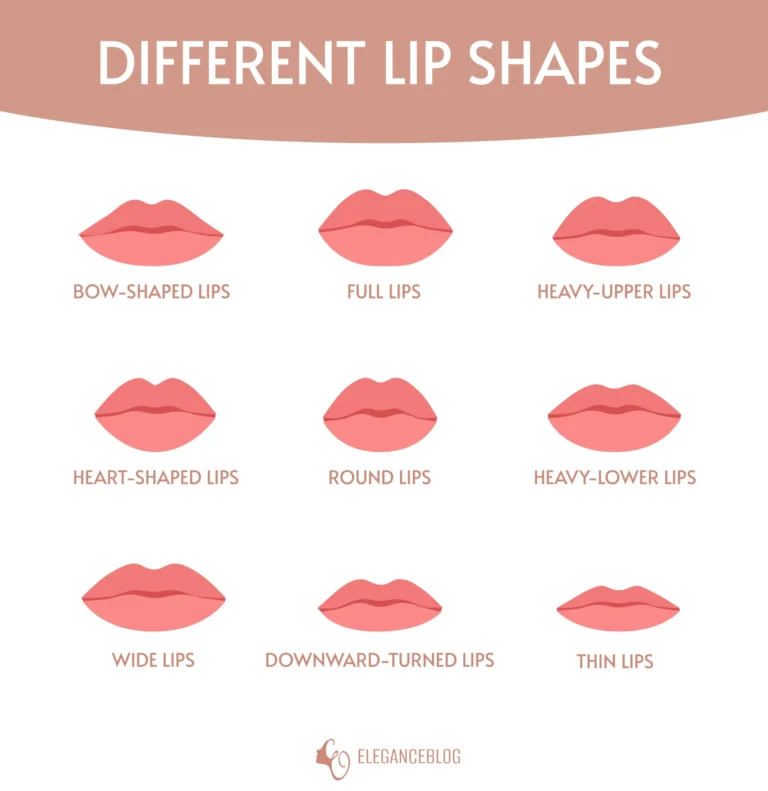 Lip shape chart showing different types of lips