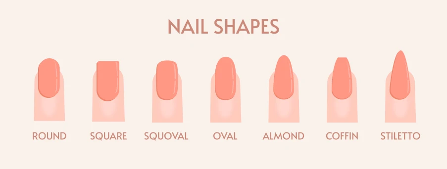 Different nail shapes infographic showing square, round, oval, almond, squoval, and stiletto.