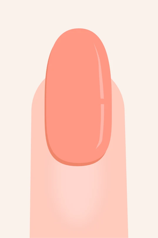 oval nail shape infographic showing tapered sides and rounded tip.