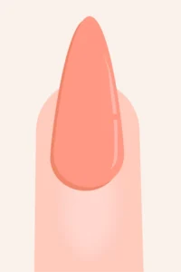 Stiletto nail shape infographic showing long tapered sides and pointed tip.