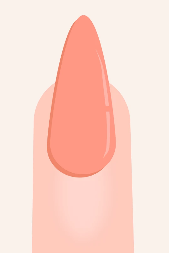 Stiletto nail shape infographic showing long tapered sides and pointed tip.