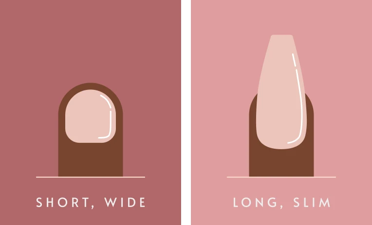 infographic showing how nail lenght helps with wide nail beds