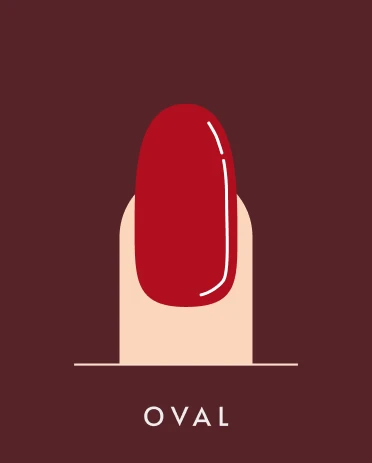 infographic showing oval nail shape